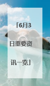 6月3日重要资讯一览